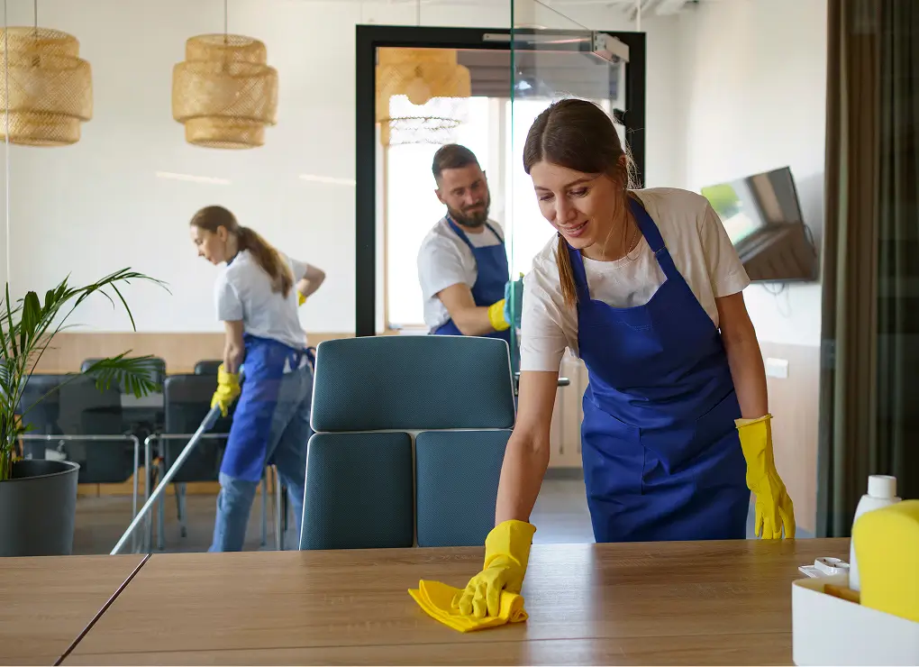 standard cleaning tri valley