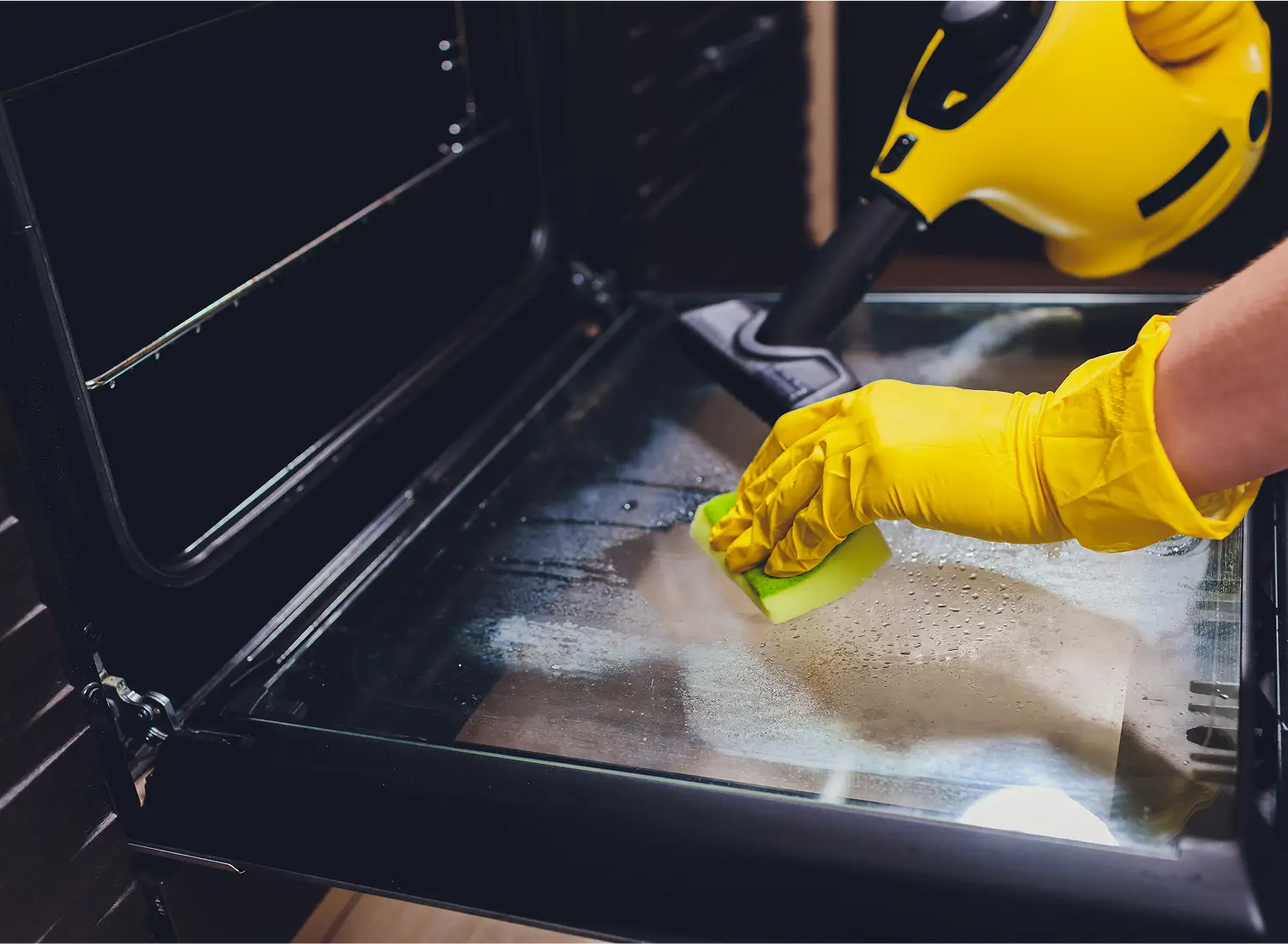 oven cleaning service in tri valley