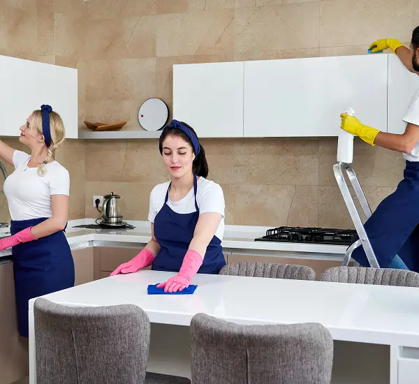 deep cleaning tri valley