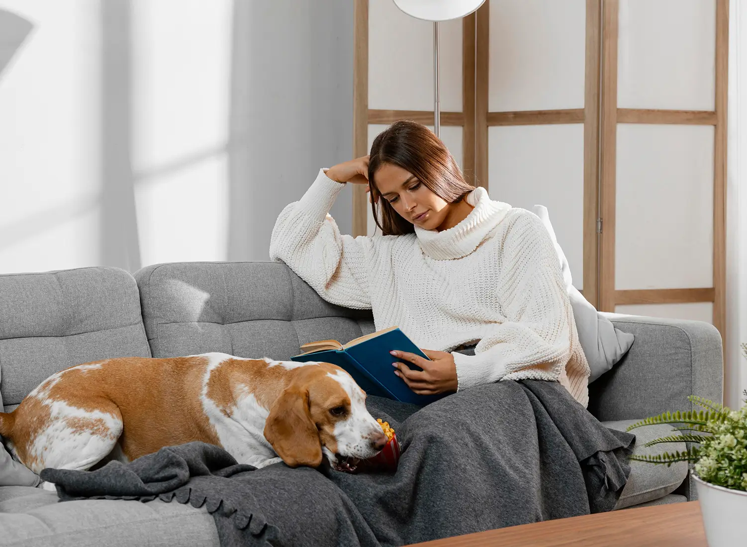 pet hair removal cleaning service